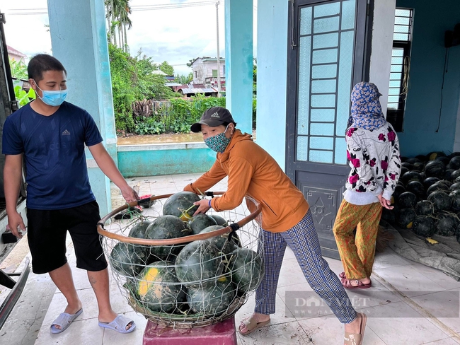 &quot;Cứu cánh&quot; giúp bà con trước nguy cơ mất trắng mùa dưa do trận lũ trái mùa - Ảnh 8.