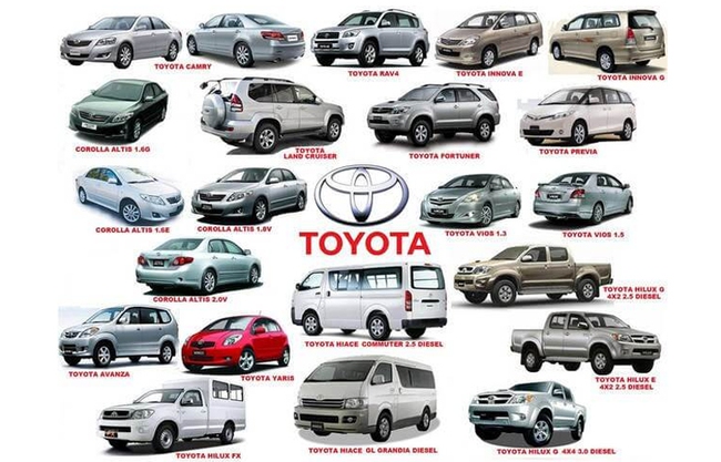 Toyota châu Á có giám đốc điều hành mới là người gốc Việt - Ảnh 1.