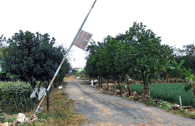 Huyện Mê Linh công bố đường dây nóng xử lý vi phạm đất đai  - Ảnh 1.