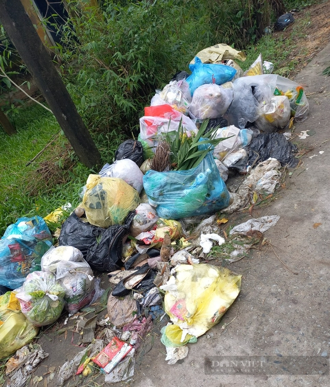 TT-Huế: Dân bức xúc vì rác thải sinh hoạt ùn ứ nhiều ngày gây ô nhiễm môi trường - Ảnh 2.