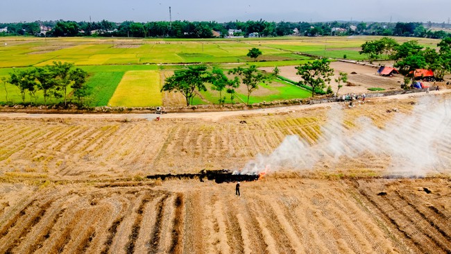 Huyện nông nghiệp duy nhất của Đà Nẵng được định hướng phát triển thành thị xã - Ảnh 2.