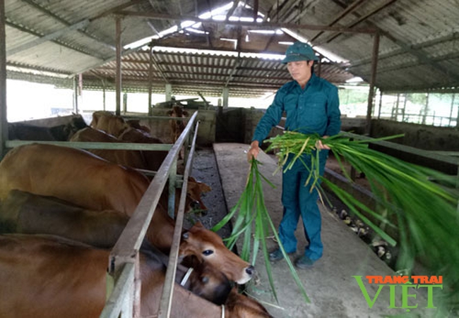 Phong Thổ: Phát huy vai trò của Hội Nông dân trong phát triển kinh tế nông nghiệp - Ảnh 4.