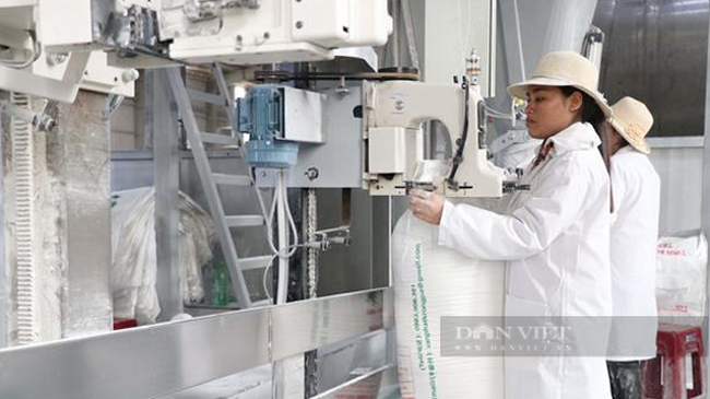 Chế biến tinh bột sắn ở Công ty chế biến Nông lâm sản Đường Vạn Phát, Gia Lai. Ảnh: Hoài Nam
