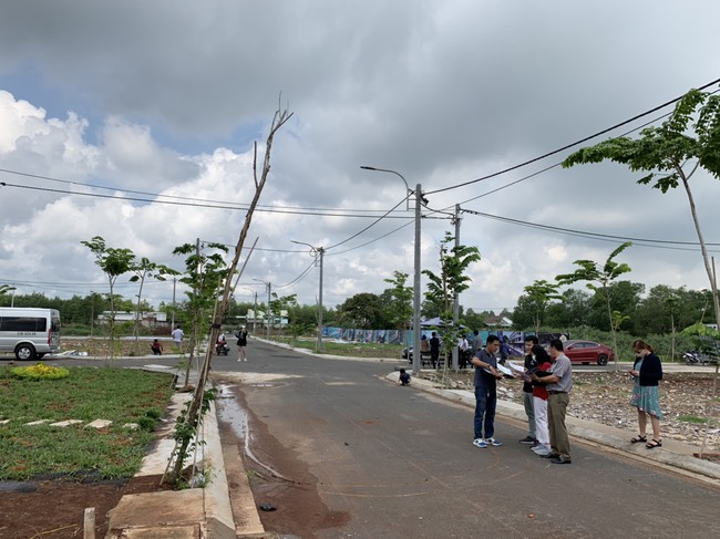 Sau quãng thời gian sốt, giá đất nền dần hạ nhiệt.