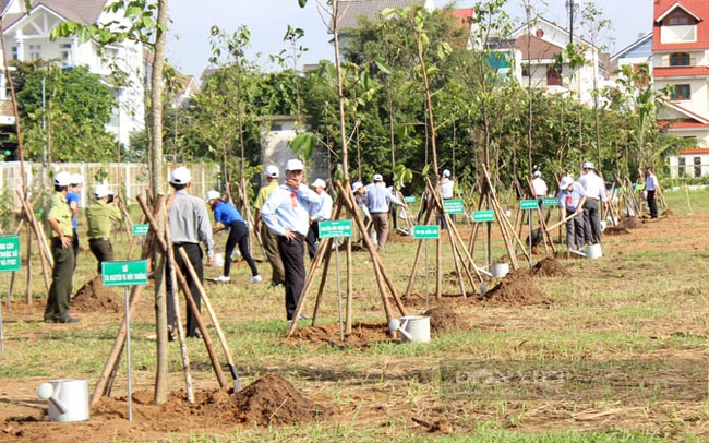 Công viên Khu dân cư của Khu phố 6, phường Phước Long B (TP.Thủ Đức) sẽ trồng là 350 cây các loại. Ảnh: Nguyên Vỹ