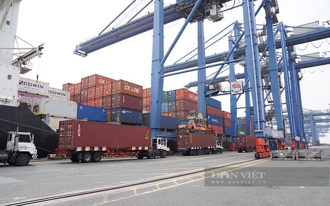 Mỗi năm có khoảng 4,9 triệu container 20 feet (TEU) được xếp dỡ tại  TP.HCM. Ảnh: Nguyên Vỹ
