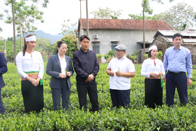 Xây dựng làng quê của Thủ đô ngày càng  xanh, sạch, đẹp  - Ảnh 1.