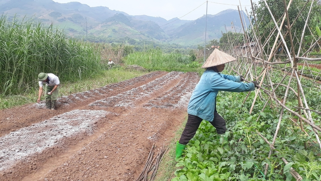 Đất nông nghiệp có tách thửa được không và chi phí tách thửa đất nông nghiệp năm 2022 là bao nhiêu? - Ảnh 1.