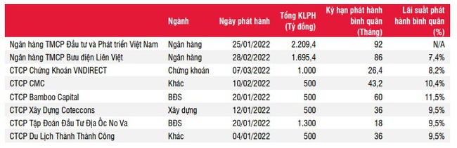 Doanh nghiệp bất động sản “chùn tay” phát hành trái phiếu sau sự kiện Tân Hoàng Minh  - Ảnh 5.