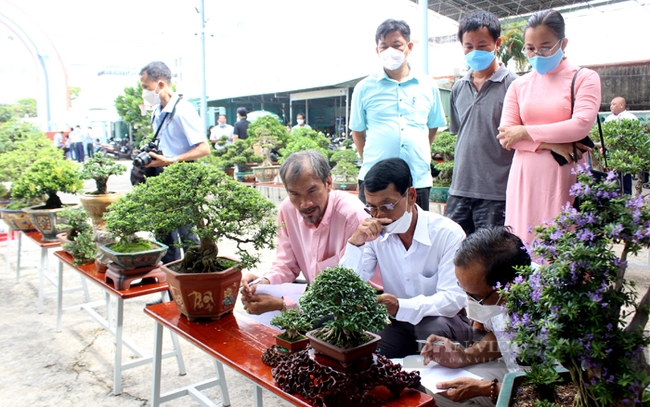 Hội thi hoa lan và cây kiểng ở Hội chợ, triển lãm sản phẩm nông nghiệp tiêu biểu TP.HCM năm 2022. Ảnh: Nguyên Vỹ