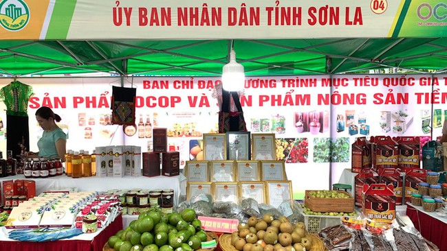 Festival trái cây và sản phẩm OCOP Việt Nam năm 2022 đã sẵn sàng - Ảnh 5.