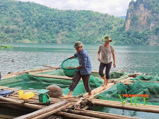 Lai Châu: Than Uyên đẩy mạnh phát triển dịch vụ nông nghiệp - Ảnh 2.