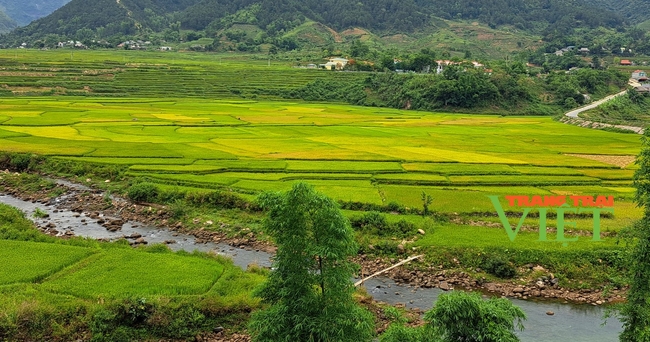 Lai Châu: Than Uyên đẩy mạnh phát triển dịch vụ nông nghiệp - Ảnh 3.