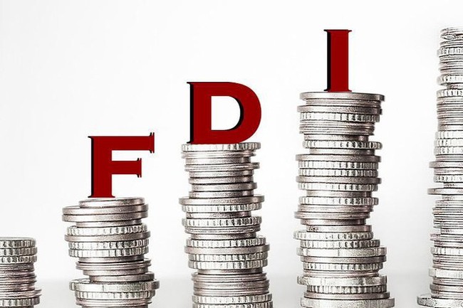 Rà soát các dự án FDI có vốn đầu tư đăng ký từ 100 triệu USD trở lên - Ảnh 1.