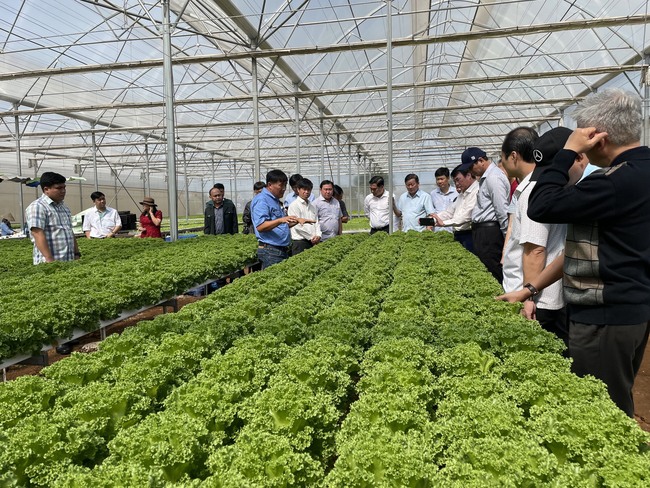 Đồng Nai và Lâm Đồng kết nối cùng phát triển nông nghiệp - Ảnh 2.