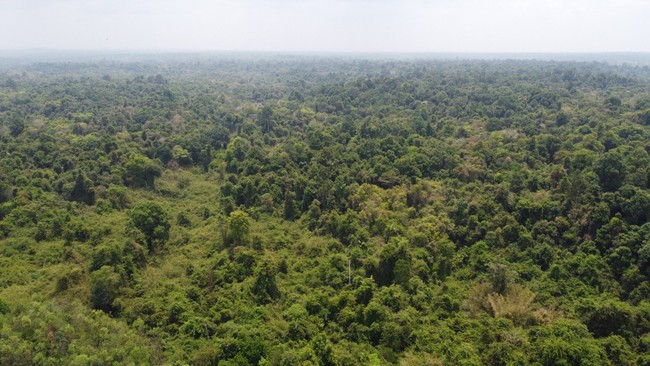 Đồng Nai: Nếu làm quốc lộ 13C xuyên rừng sẽ phải “chiếm” của Khu dự trữ sinh quyển thế giới 44 ha đất - Ảnh 1.
