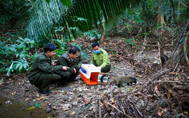 Ảnh: Phát triển du lịch gắn với bảo tồn đa dạng sinh học ở Ninh Bình - Ảnh 4.