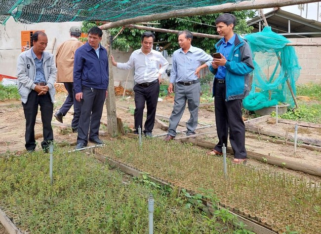 Chủ tịch Hội Nông dân TT-Huế thăm, kiểm tra các mô hình của nông dân triệu phú, tỷ phú  - Ảnh 2.