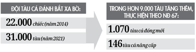 Bộ NNPTNT kiến nghị Chính phủ giải pháp gỡ khó cho tàu 67: Cho ngư dân tiếp tục hưởng hỗ trợ lãi suất - Ảnh 2.