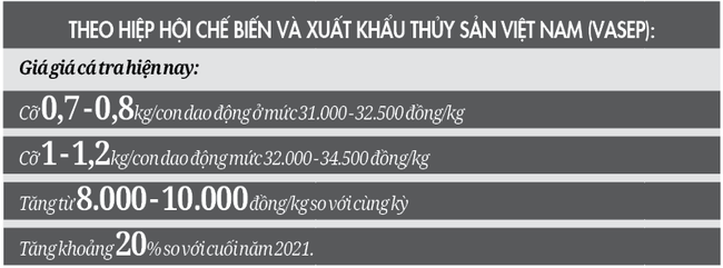 Giá cá tra tăng kỷ lục ở ĐBSCL: 	Cẩn trọng khi tăng diện tích nuôi - Ảnh 4.