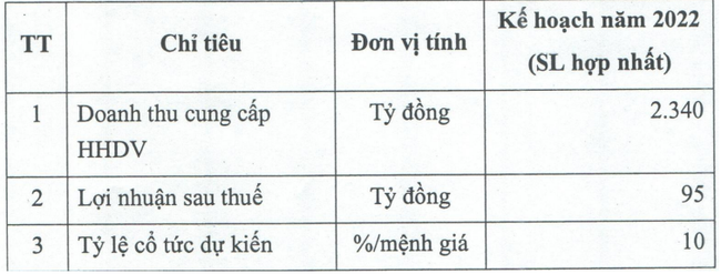 ĐHĐCĐ NHỰA HÀ NỘI: Chốt không chia cổ tức năm 2021, lên kế hoạch lợi nhuận tăng trưởng 32% - Ảnh 2.