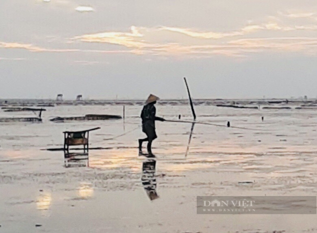 Clip nông dân Thanh Hóa “chế” ván lướt săn con cá, tôm dưới biển - Ảnh 8.