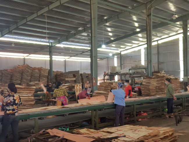 Hợp tác xuất khẩu gỗ, sản phẩm gỗ với Trung Quốc: Hỗ trợ sản xuất, ngăn chặn hiểu lầm - Ảnh 1.