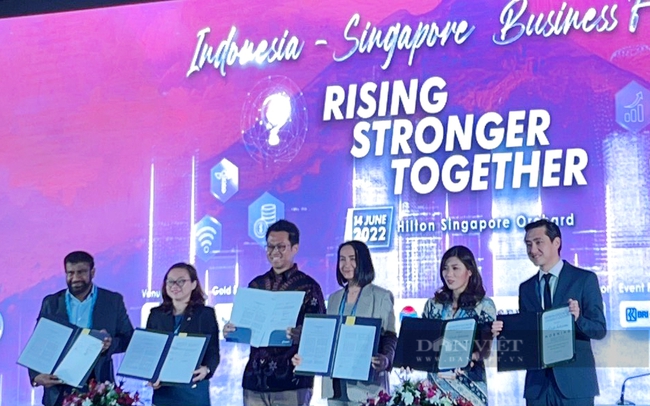 Đại diện Lãnh đạo Trung tâm Thương mại thế giới Thành phố mới Bình Dương ký thỏa thuận hợp tác thúc đẩy giao thương và phát triển lĩnh vực logistics với dự án Andalin Trade tại Diễn đàn kinh tế Indonesia-Singapore. Ảnh: T.L