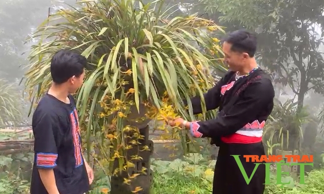 Lai Châu: Trồng  địa lan, làm du lịch cộng đồng nông dân Phong Thổ đếm tiền mỏi tay   - Ảnh 1.