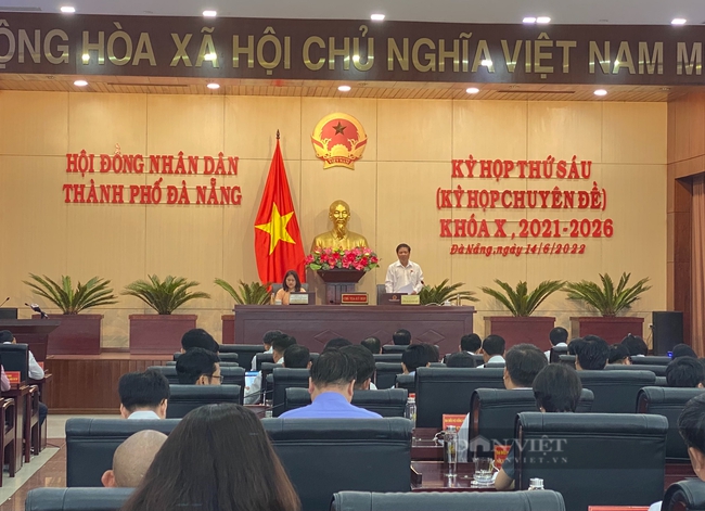 HĐND Đà Nẵng bãi nhiệm tư cách đại biểu của Phó chủ tịch  - Ảnh 1.