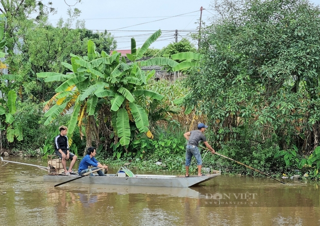 Ninh Bình: Xử lý nghiêm việc sử dụng kích điện, chất nổ trong khai thác thủy sản - Ảnh 1.