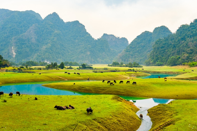 gop/Nơi “Sơn Tinh, Thủy Tinh hò hẹn” - Ảnh 1.