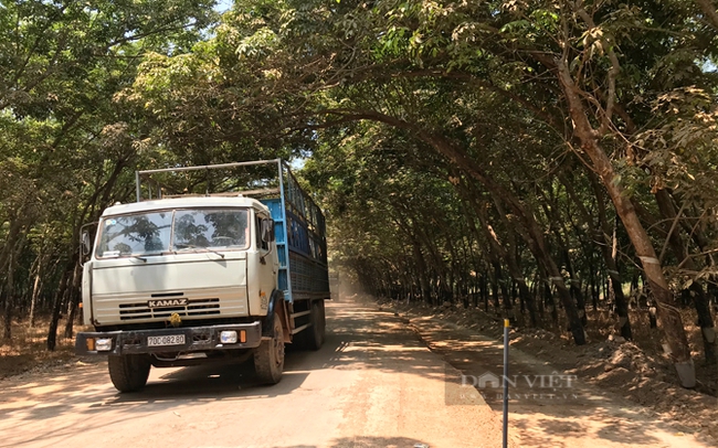 Một dự án giải phóng mặt bằng để mở rộng đường giao thông ở huyện Tân Châu, Tây Ninh. Ảnh: Trần Khánh