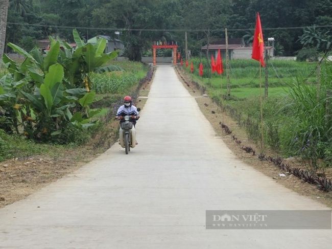 Mức lương Phó Chủ tịch UBND xã theo quy định pháp luật hiện hành - Ảnh 1.