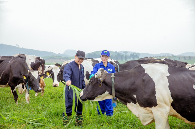 Có gì đặc biệt trong Tổ hợp Thiên đường sữa vừa được Vinamilk và Mộc Châu Milk khởi công? - Ảnh 4.