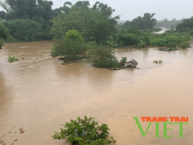 Điện Biên: Sạt lở nghiêm trọng tại bờ sông Nậm Rốm   - Ảnh 1.