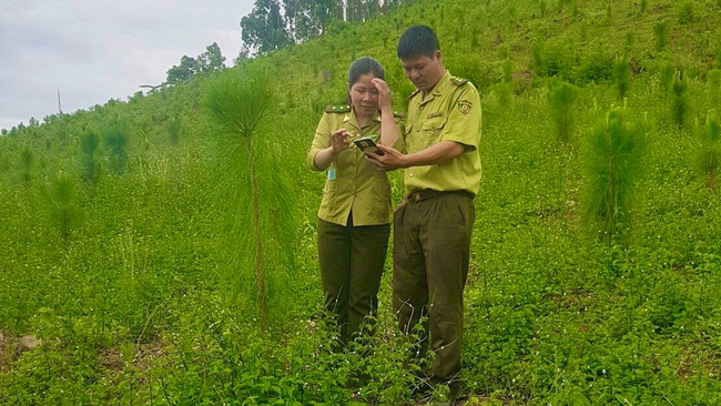 Những phòng làm việc không khói thuốc ở Hạt Kiểm lâm Mai Sơn - Ảnh 4.