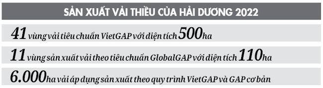 Vải thiều Hải Dương sang Nhật, Mỹ, EU tăng 50% - Ảnh 2.