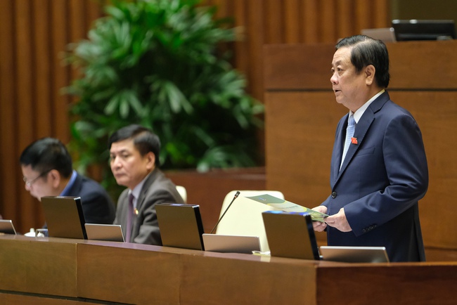 Bộ trưởng Bộ NNPTNT Lê Minh Hoan đang trả lời chất vấn trước Quốc hội - Ảnh 2.