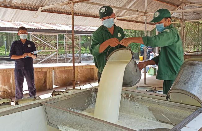 Doanh nghiệp Trung Quốc xây nhà máy sản xuất lốp xe ở tỉnh Bình Phước, giá mủ của một loại cây sẽ tăng? - Ảnh 1.