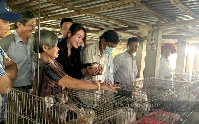 HTX chăn nuôi thỏ sạch Củ Chi tiếp đoàn công tác Hội Nông dân huyện Thủ Thừa (Long An) đến tham quan học tập mô hinh. Trần Khánh