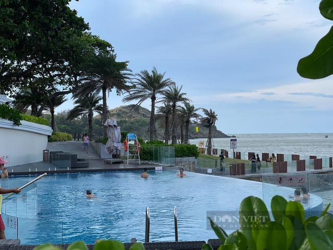 Ba Ria - Vung Tau: Half a year welcomes nearly 6 million visitors, expecting summer tourism - Photo 1.