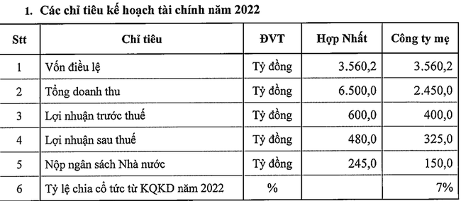 ĐHĐCĐ PVTrans: 2022 sẽ là năm của sự đầu tư táo bạo với tổng 23 tàu mới - Ảnh 3.