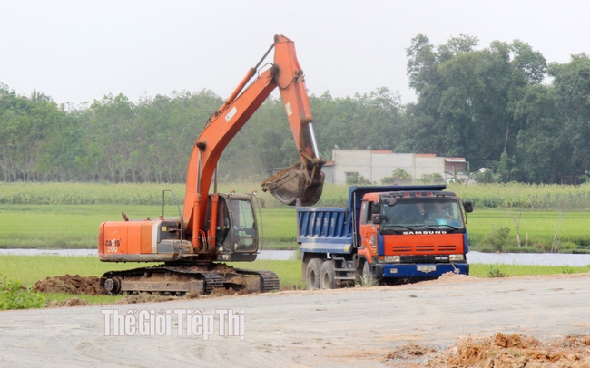 Hồ sơ liên quan đến đăng ký đất đai, nhất là đất nông nghiệp ở Tây Ninh tăng đột biến trong năm 2022. Ảnh: Trần Khánh