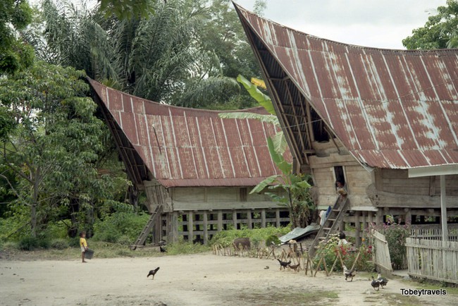 Bất ngờ cuộc sống của cư dân “Việt cổ” ở đảo Sumatra năm 1998 - Ảnh 2.