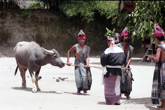 Bất ngờ cuộc sống của cư dân “Việt cổ” ở đảo Sumatra năm 1998 - Ảnh 7.