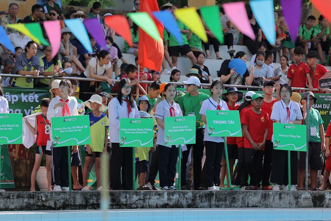 Giải bơi cứu đuối toàn quốc: Gần 500 thanh thiếu nhi tranh tài - Ảnh 1.