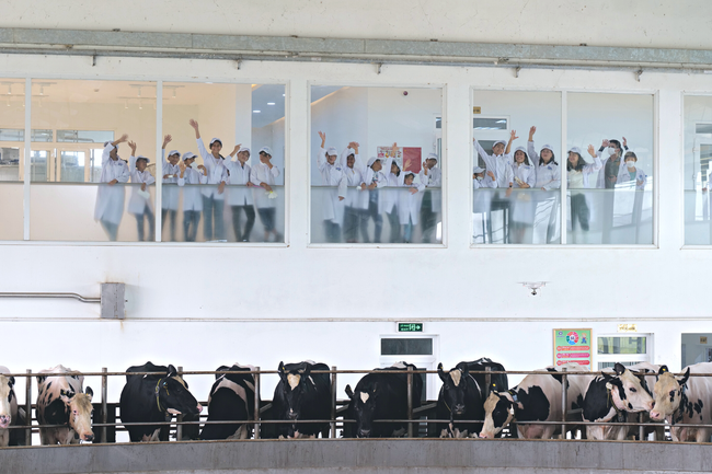 Vinamilk và Quỹ sữa Vươn cao Việt Nam tổ chức nhiều hoạt động đồng hành nhân dịp 15 thành lập - Ảnh 6.