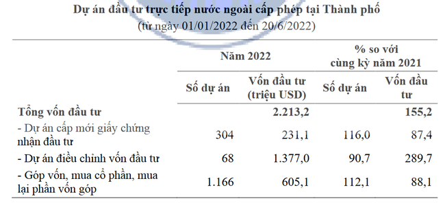 TP. Hồ Chí Minh: 6 tháng đầu năm giáo dục và đào tạo hút mạnh vốn FDI