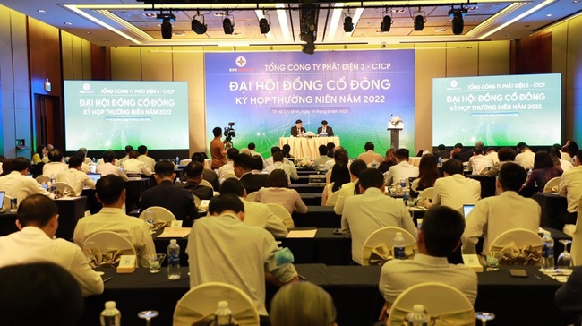 EVNGENCO3: Chốt ngày thanh toán cổ tức 2021 bằng tiền tỷ lệ 13% - Ảnh 1.